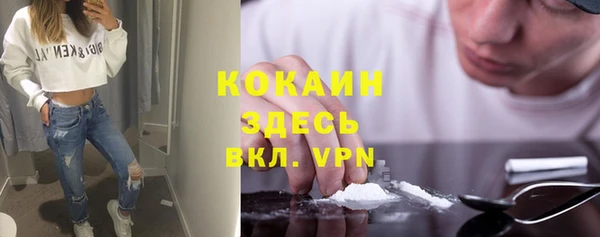 шишки Баксан