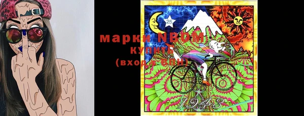 PSILOCYBIN Белокуриха