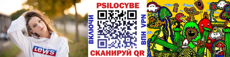 Псилоцибиновые грибы GOLDEN TEACHER  где найти   Лыткарино 